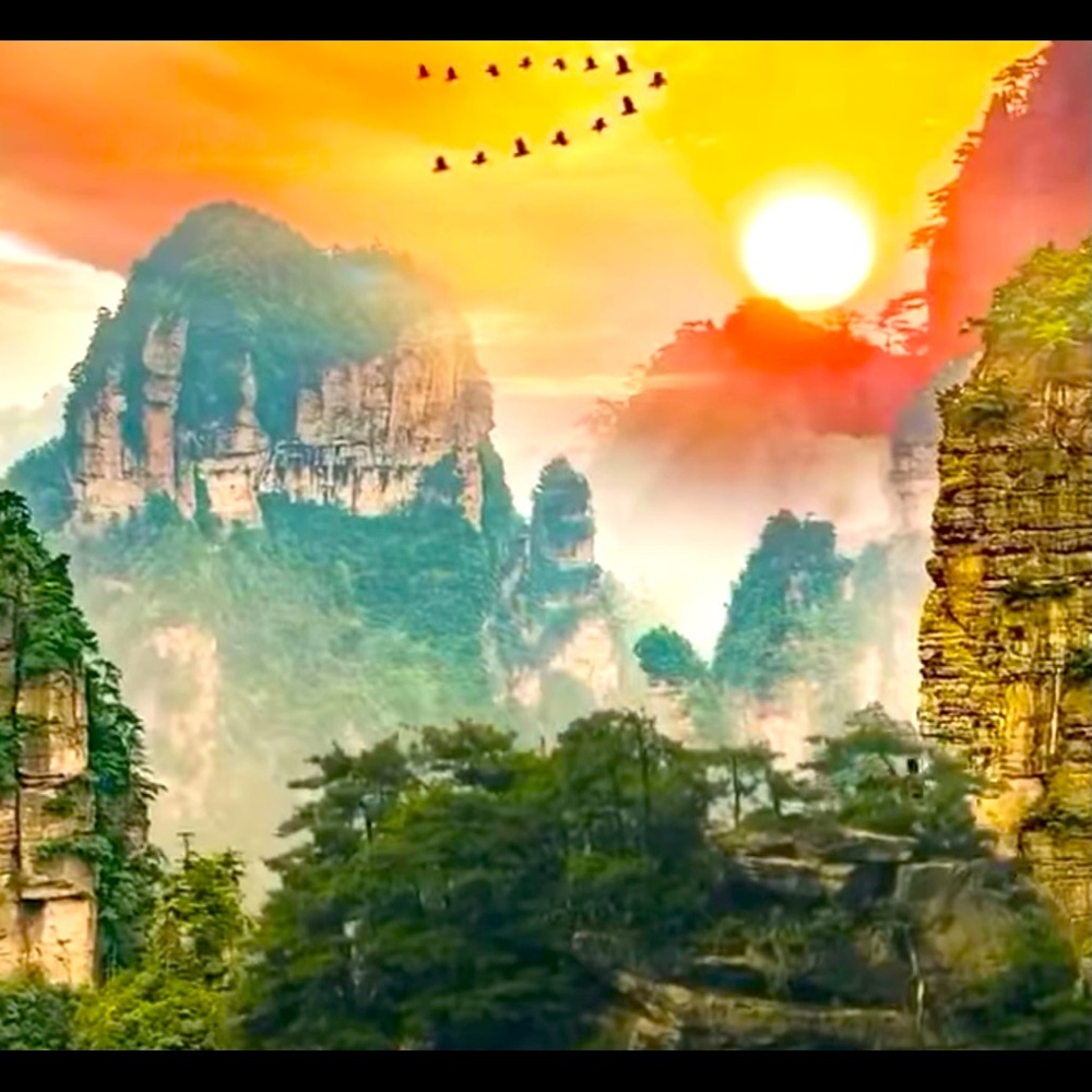 Meet your Posher, Anne